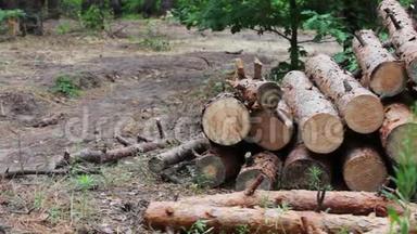 森林<strong>砍伐</strong>的问题.. 从被砍倒的树木中得到的巨大的原木躺在地上的森林里。 折叠的树在地上。 从